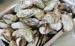 少妇大叫太大太粗太爽了